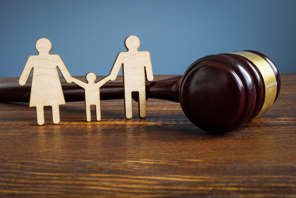 Personal Lawyer providing Child Custody Dispute Legal Services in Houston Texas areas